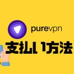 purevpn(ピュアブイピーエヌ)の支払い方法