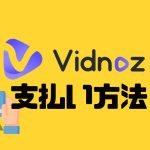 Vidnoz(ビドノズ)の支払い方法
