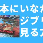 日本にいながらジブリを見る方法