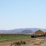 【完全ロードマップ】リードマグネットの作り方5ステップ!AIを使えば素人でも有料級特典が3時間で作れる