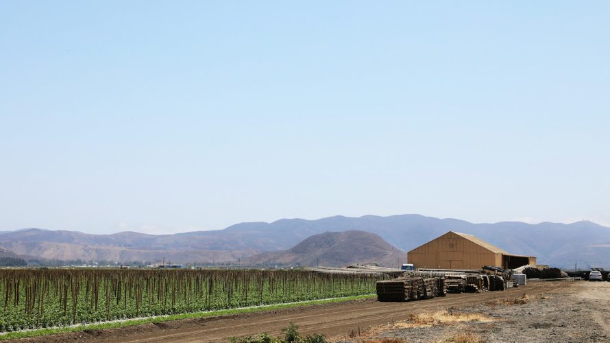 【完全ロードマップ】リードマグネットの作り方5ステップ!AIを使えば素人でも有料級特典が3時間で作れる